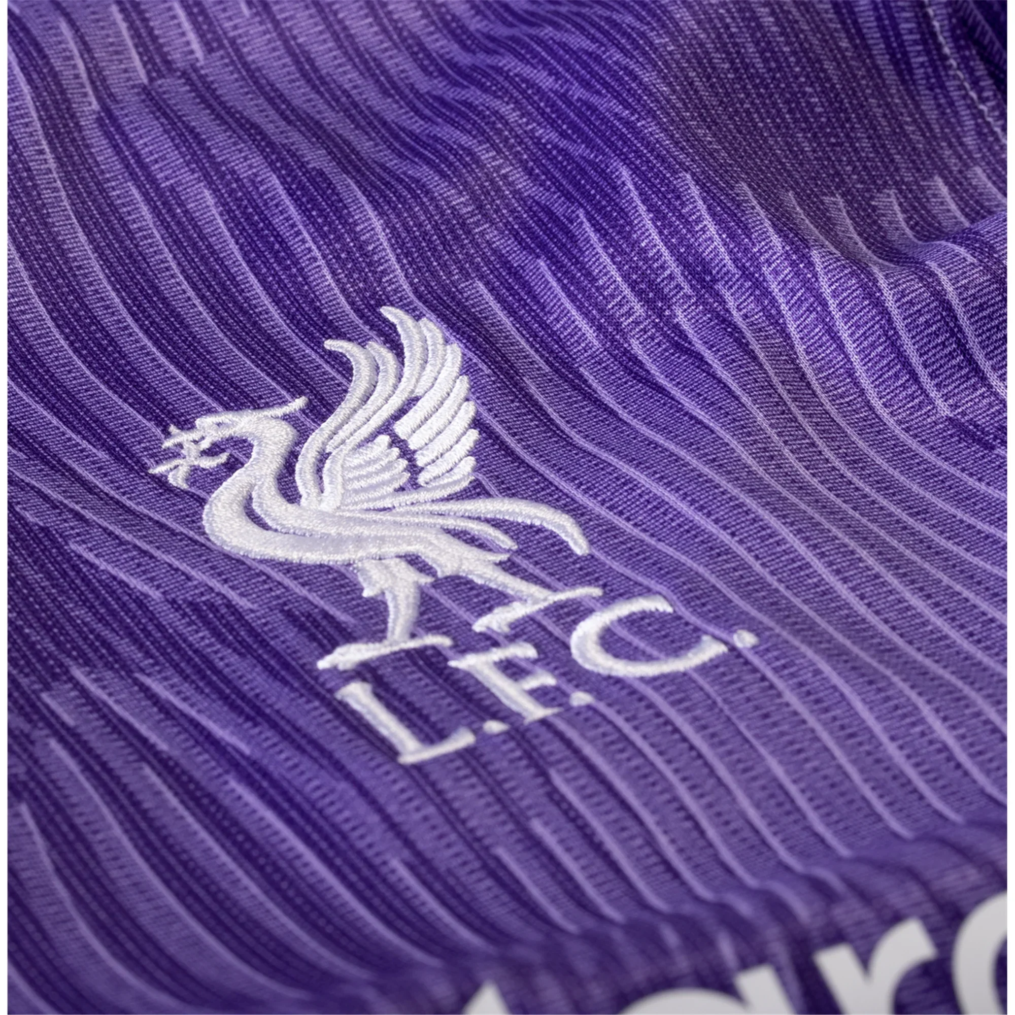 Big Kids' Nike Dri-FIT Soccer Jersey Liverpool FC 2023/24 Stadium Third - Image 3
