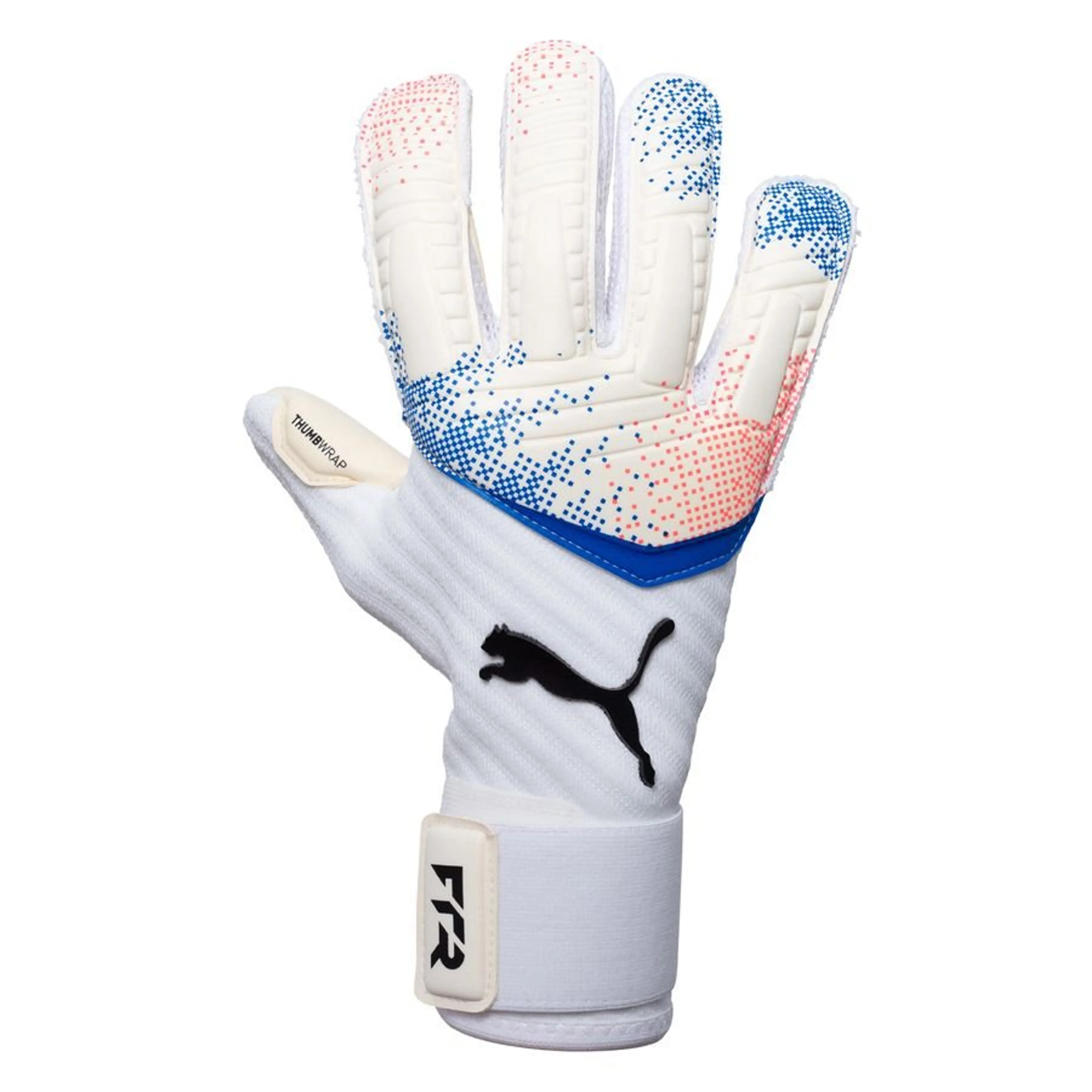 Puma Future Pro Hybrid Goalkeeper Gloves
