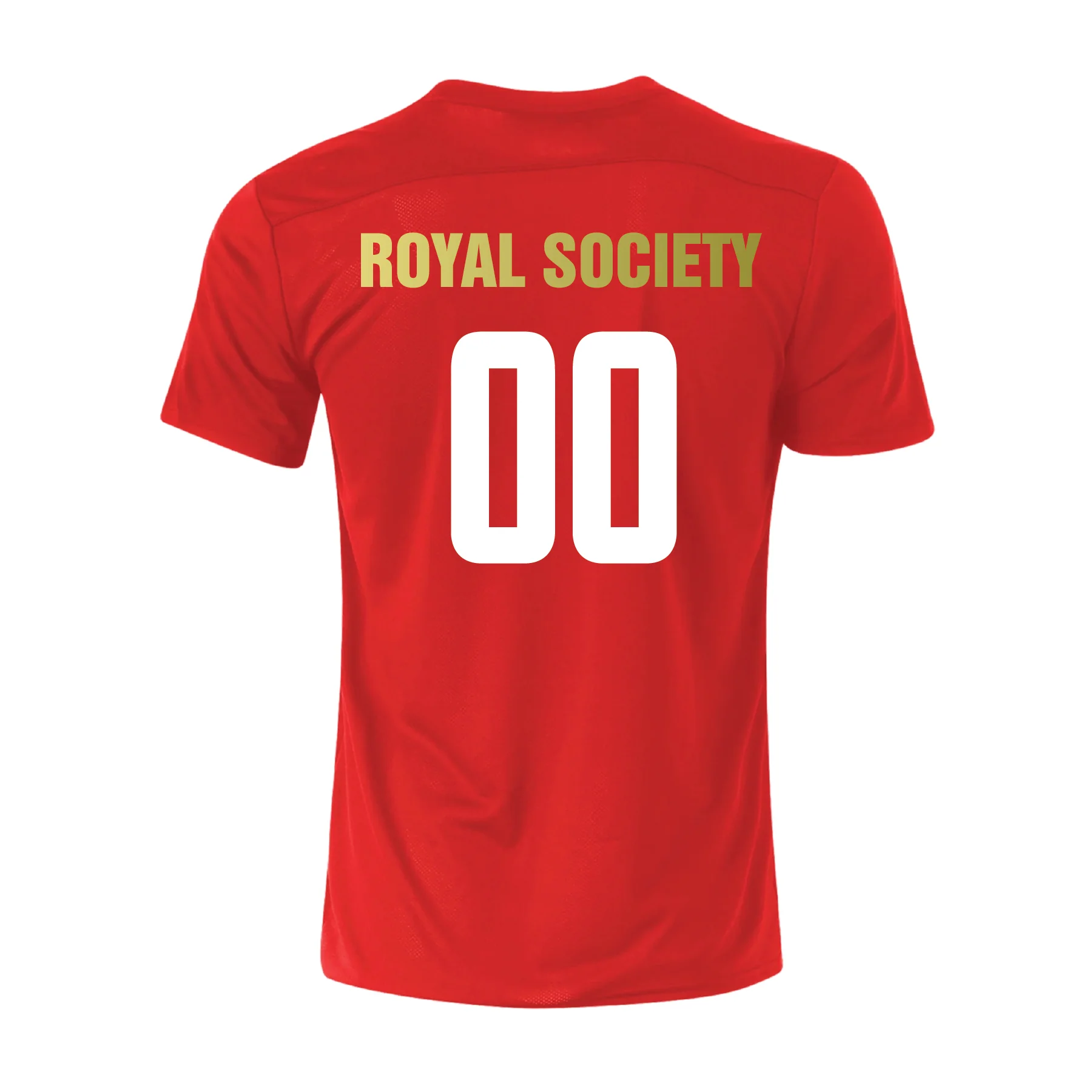 Royal Society Nike Park VII Jersey Red - Image 2