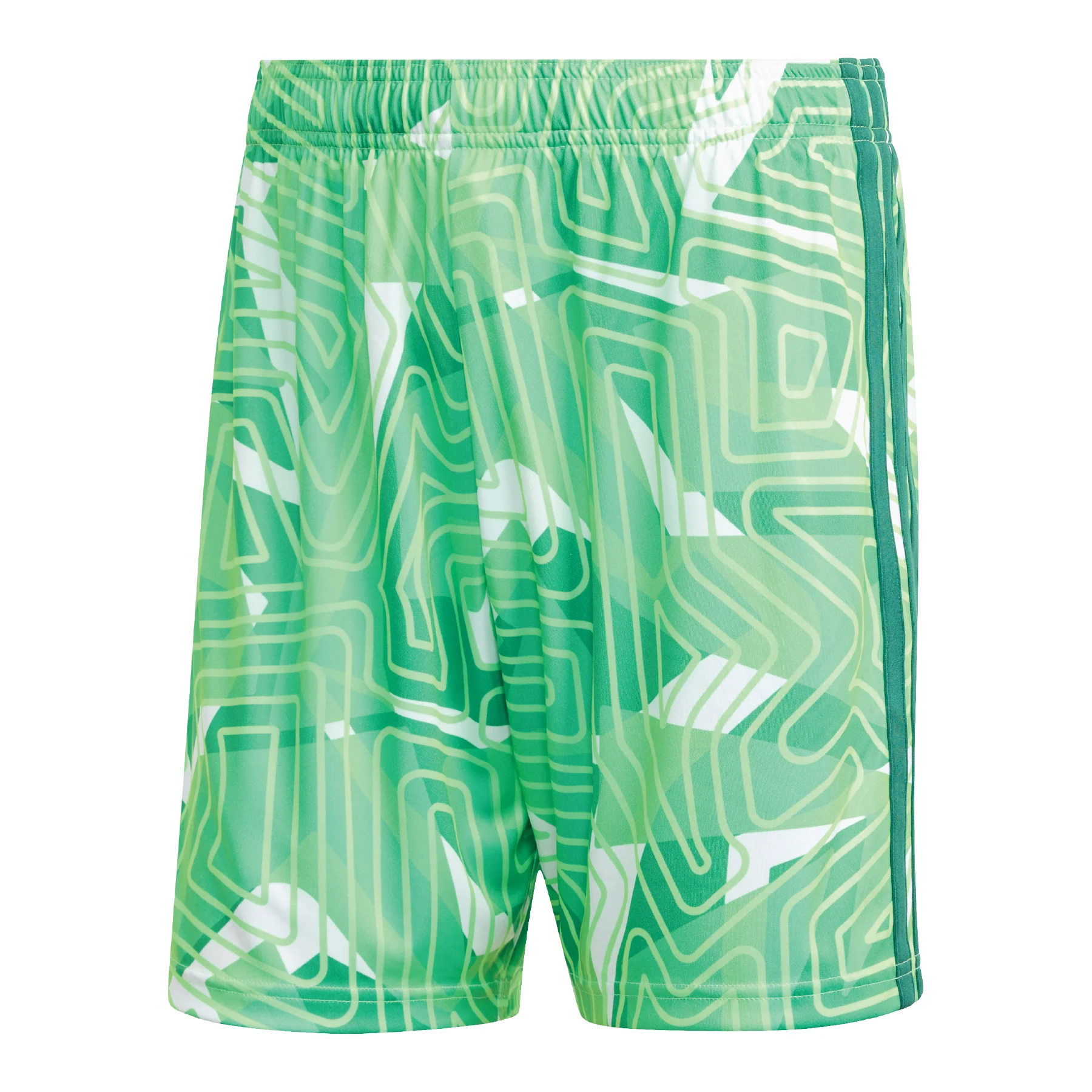 UST adidas Tiro 26 Comp Goalkeeper Short Green